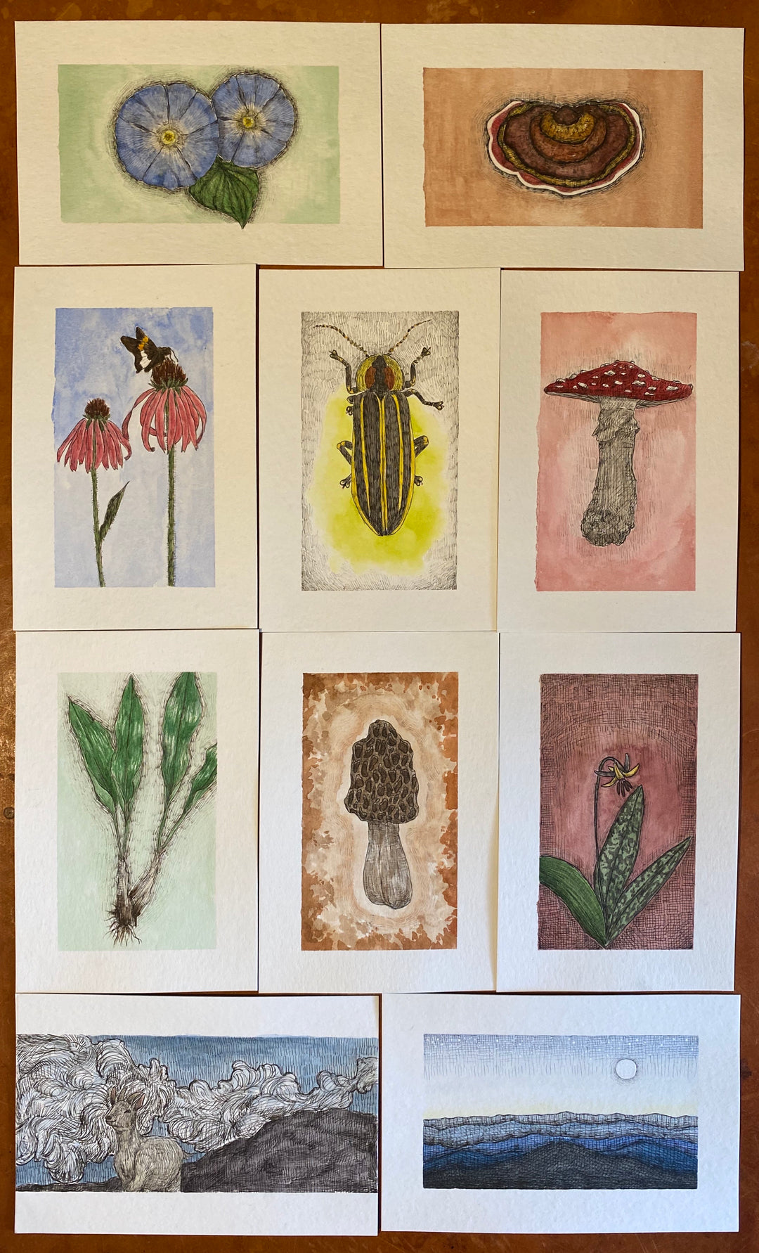 Watercolor Postcards
